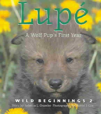 Lupe - A Wolf Pup's First Year.