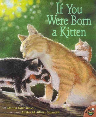 If You Were Born A Kitten / by Marion Dane Bauer ; illustrated by JoEllen McAllister Stammen.