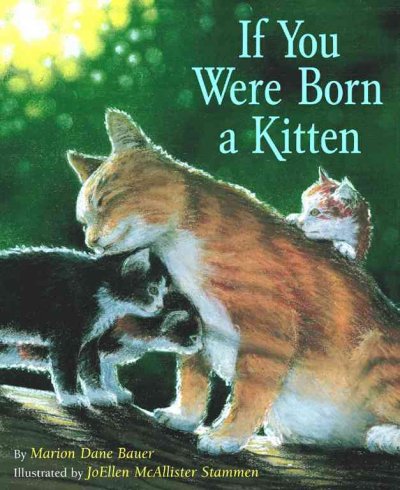 If you were born a kitten / by Marion Dane Bauer ; illustrated by JoEllen McAllister Stammen.