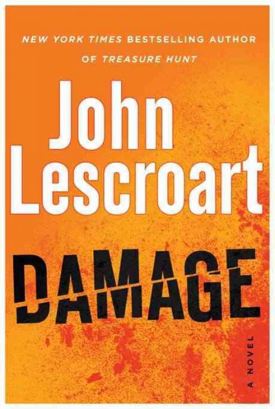 Damage : Hardcover Book{BK} a novel