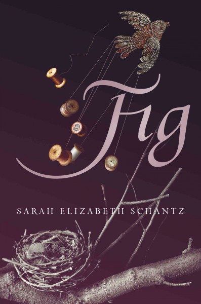 Fig / Sarah Elizabeth Schantz.