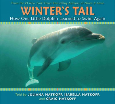 Winter's tail how one little dolphin leanred to swim again