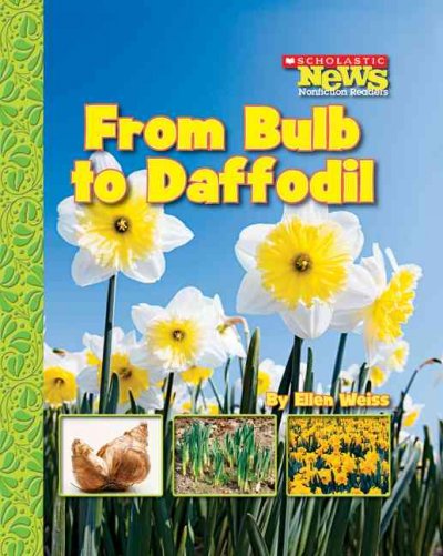 From bulb to daffodil / by Ellen Weiss.