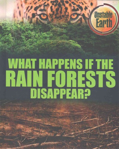 What happens if the rain forests disappear? / Mary Colson.