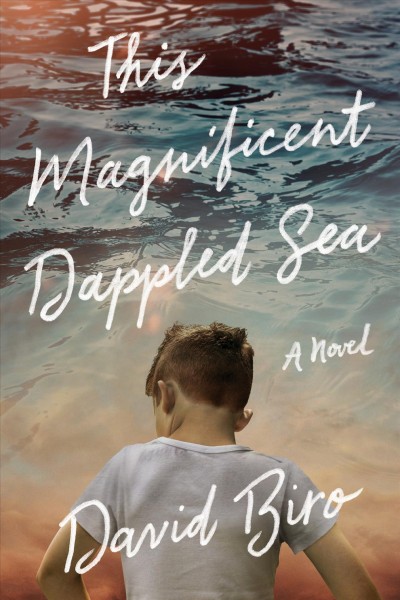 This magnificent dappled sea : a novel / David Biro.