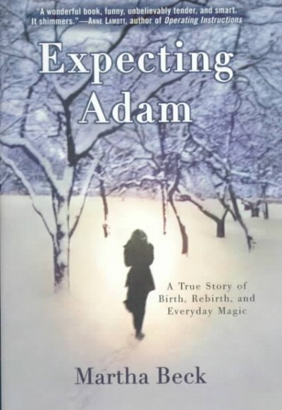 Expecting Adam : a true story of birth, rebirth, and everyday magic.